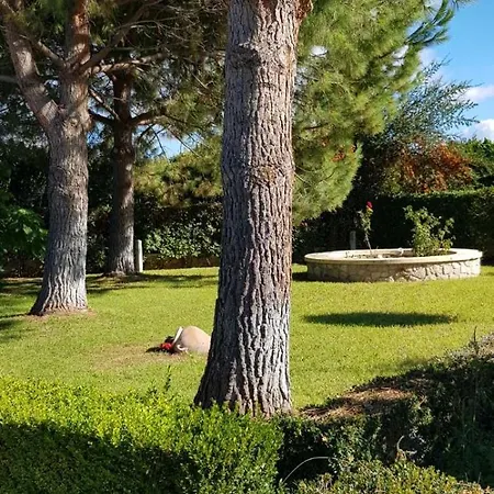 μαγευτική κωνσταντίνα
