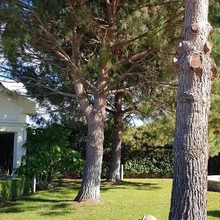 μαγευτική κωνσταντίνα * Nerántza